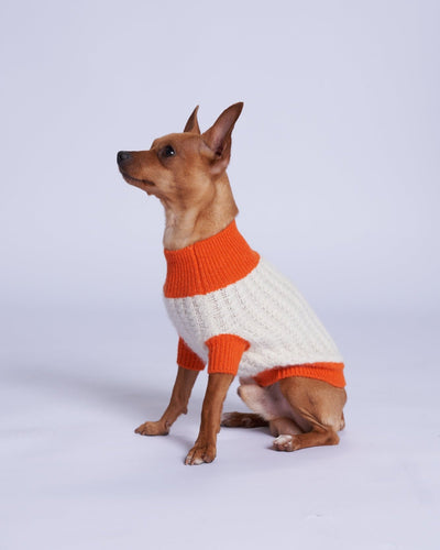L'amore Mio Cashmere Dog Sweater