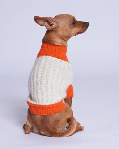 L'amore Mio Cashmere Dog Sweater