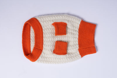 L'amore Mio Cashmere Dog Sweater