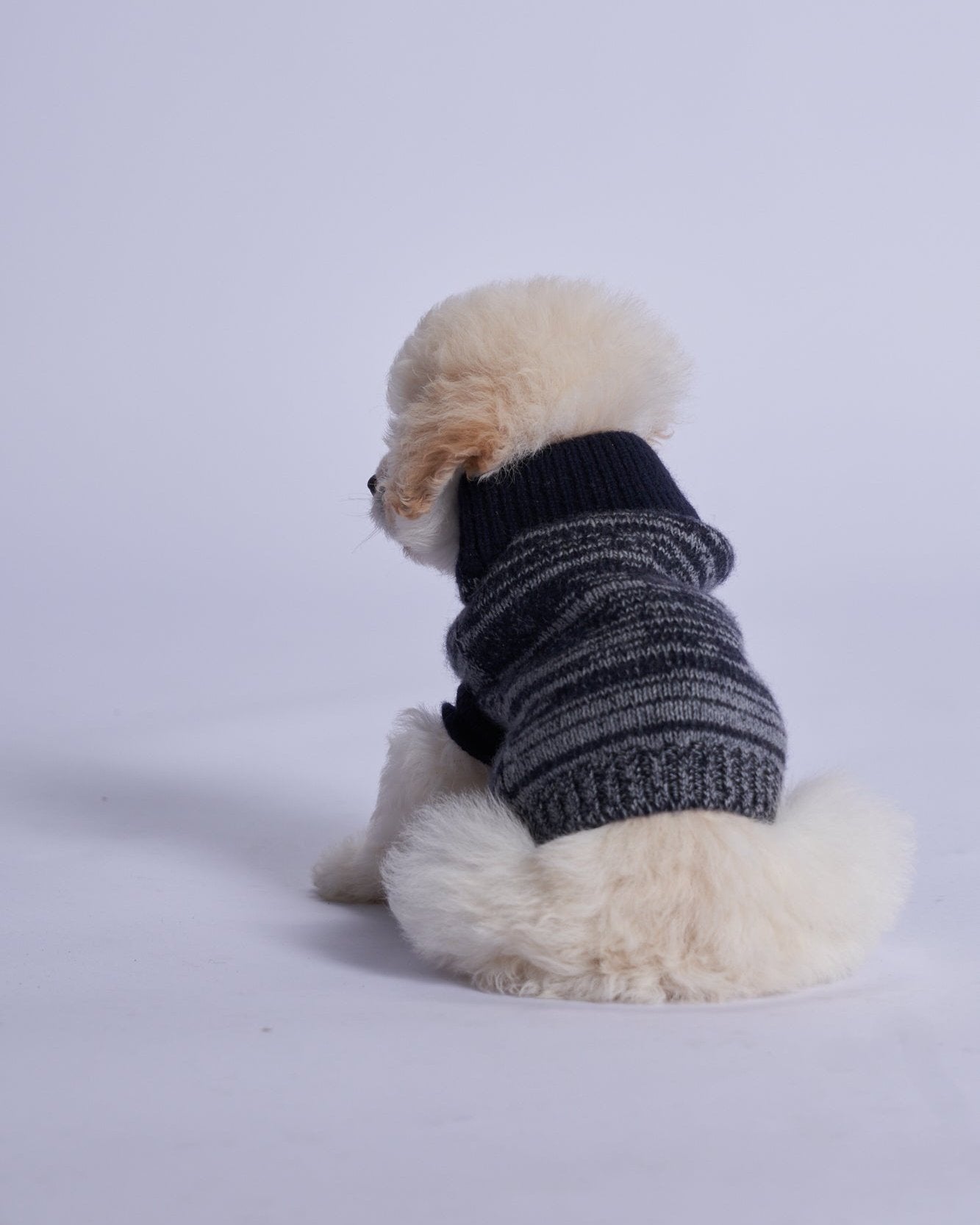 L'amore Mio Cashmere Dog Vest, Black