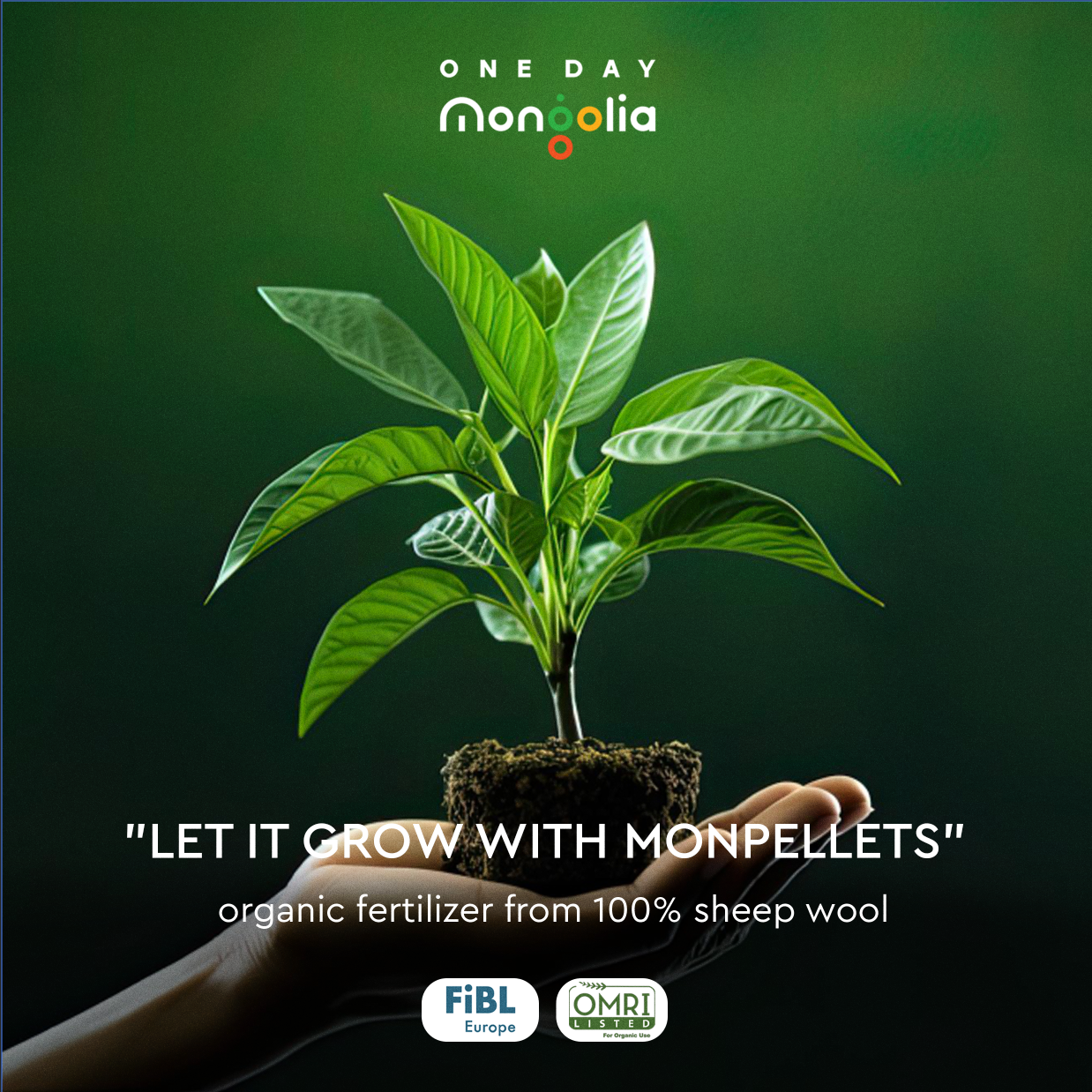 Monpellets Organic Fertilizer from Sheep Wool