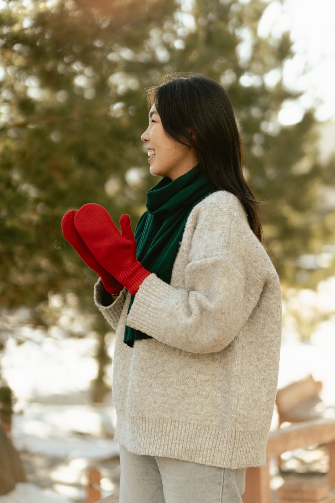 Wool Blend Mittens – Festive edition